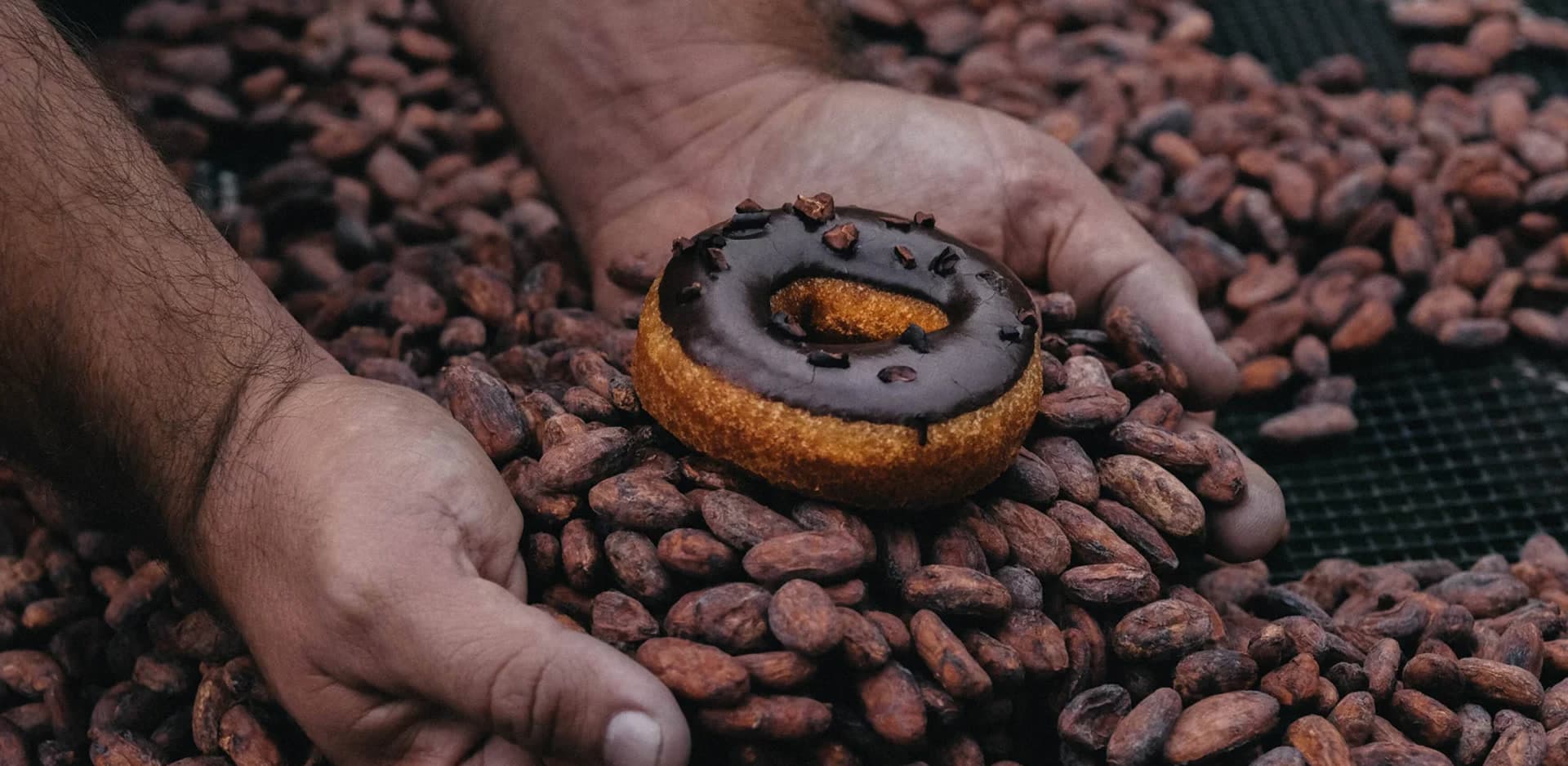 Holey Grail Chocolate Donuts